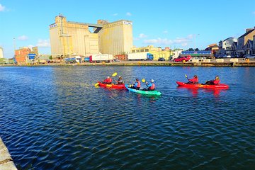 Kayaking under the bridges of Cork city. Guided. 2½ hours.
