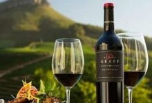 Stellenbosch wine route  